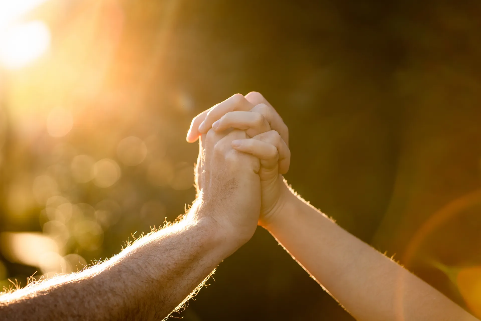 Two people clasping hands together against a warm golden-hour sky